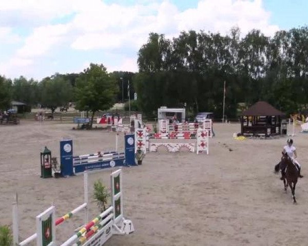 Reit- und Springturnier Münster-Roxel 2012