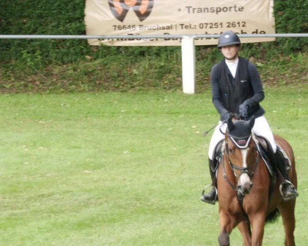 Reitturnier Forst 2024