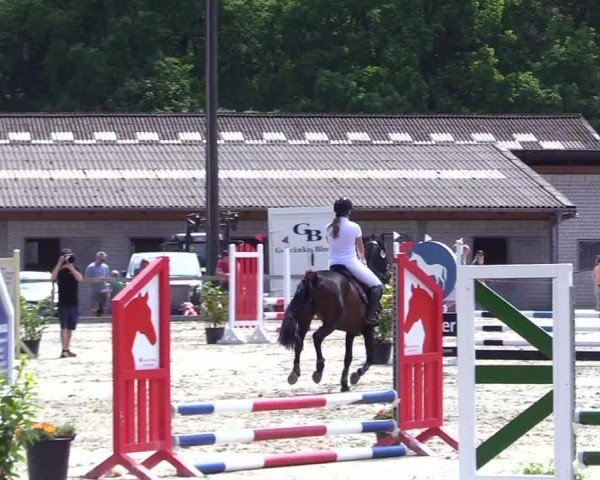 Reitturnier Kropp 2024