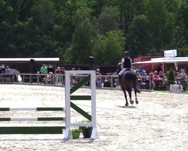 Reitturnier Kropp 2024