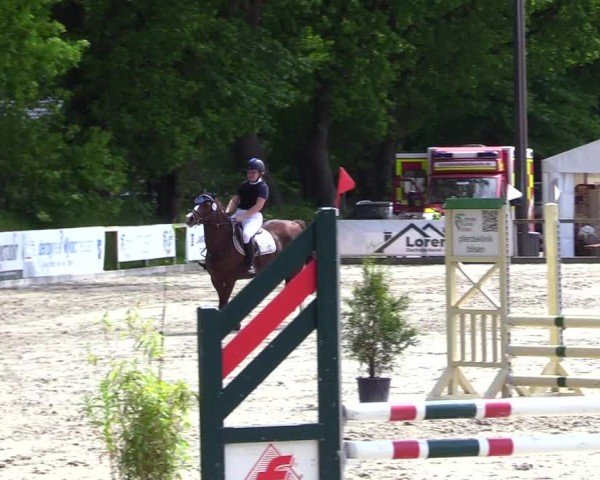 Reitturnier Kropp 2024