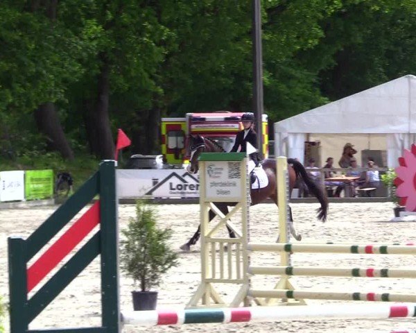 Reitturnier Kropp 2024