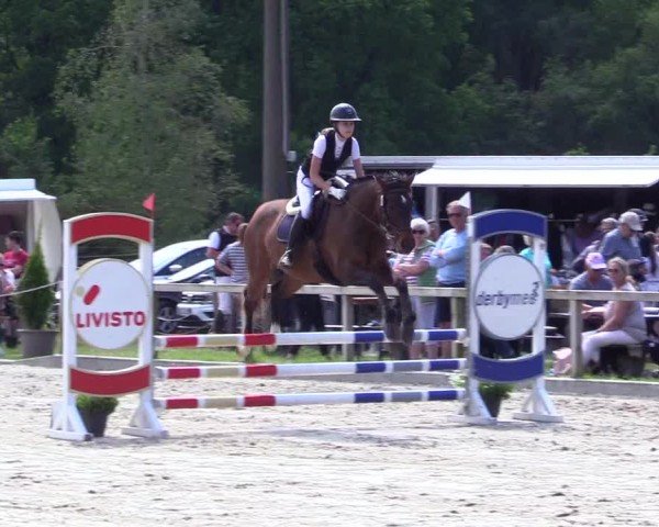 Reitturnier Kropp 2024