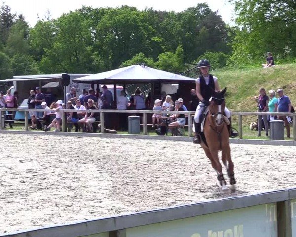 Reitturnier Kropp 2024