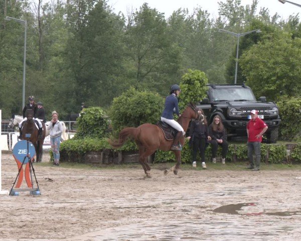 Reitturnier Frechen-Grefrath - Sonnenhof 2024