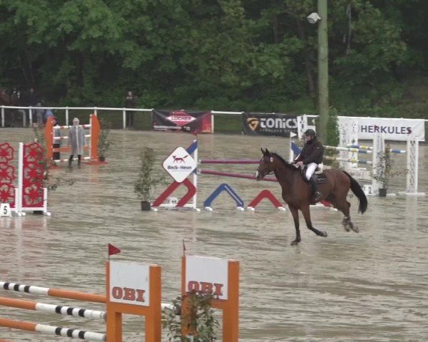 Reitturnier Siegen-Weidenau  2024
