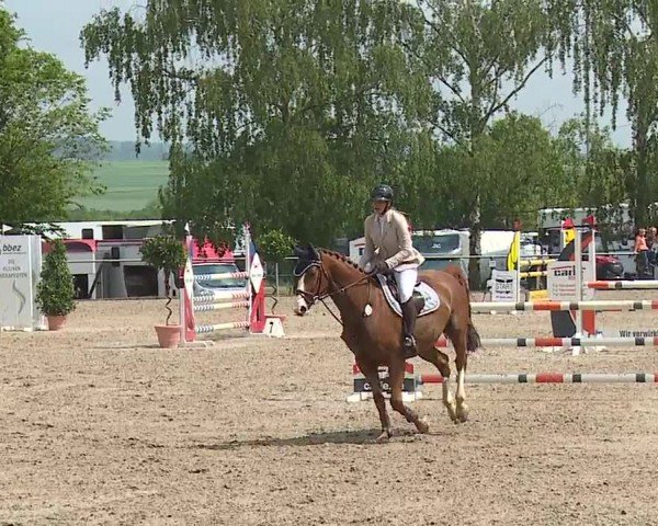 Reitturnier Landenhausen 2024