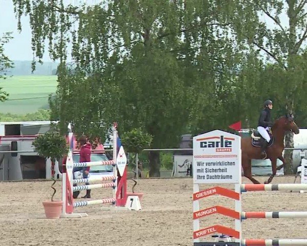 Reitturnier Landenhausen 2024