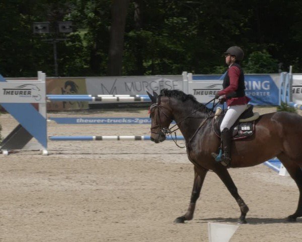 Reitturnier Karlsfeld/Obb. 2024