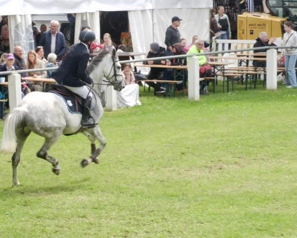 Reitturnier Forst 2024