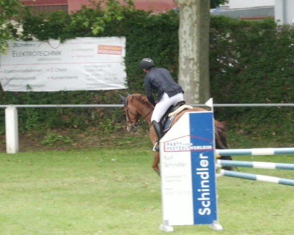 Reitturnier Forst 2024