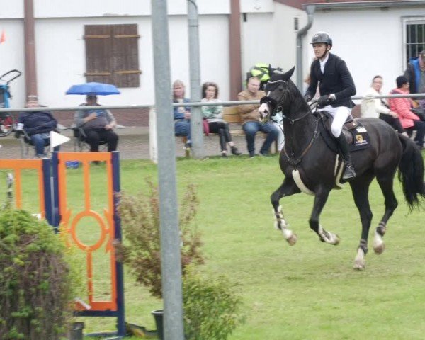 Reitturnier Forst 2024