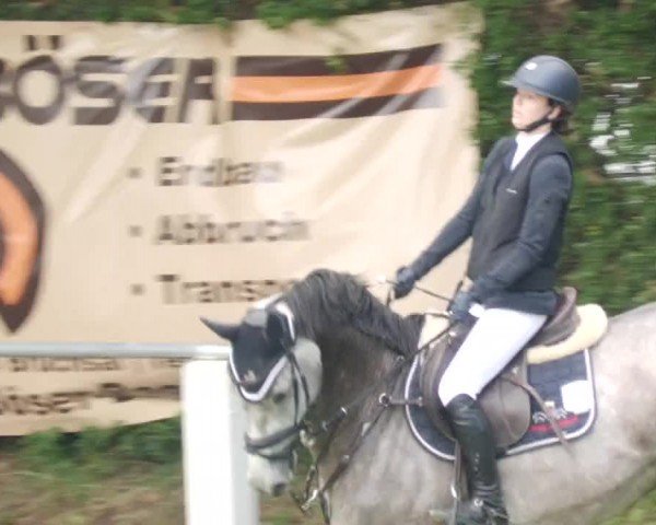 Reitturnier Forst 2024