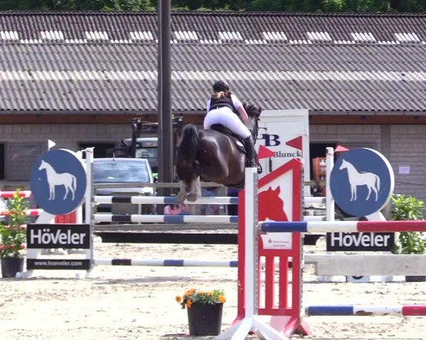 Reitturnier Kropp 2024
