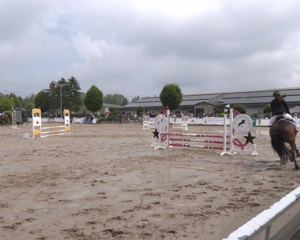 Reitturnier Frechen-Grefrath - Sonnenhof 2024