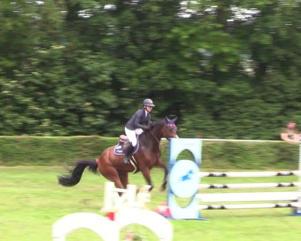 Reitturnier Westeregeln 2024