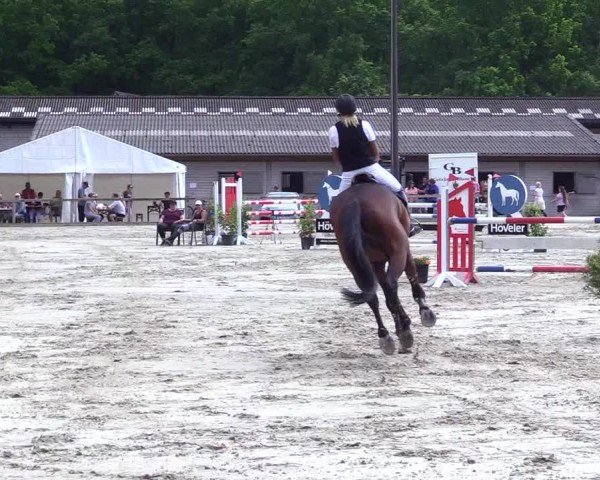 Reitturnier Kropp 2024