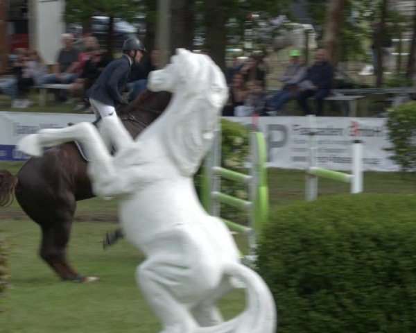 Reitturnier Cottbus-Sielow 2024