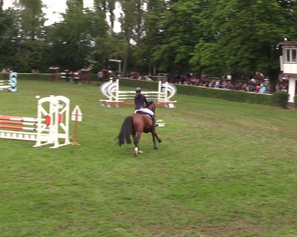 Reitturnier Westeregeln 2024