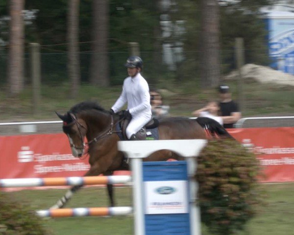 Reitturnier Cottbus-Sielow 2024