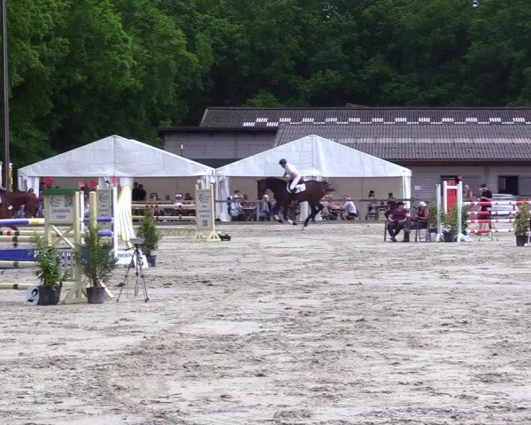 Reitturnier Kropp 2024