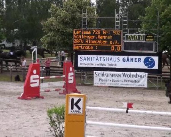 Reit- und Springturnier Münster-Roxel 2012