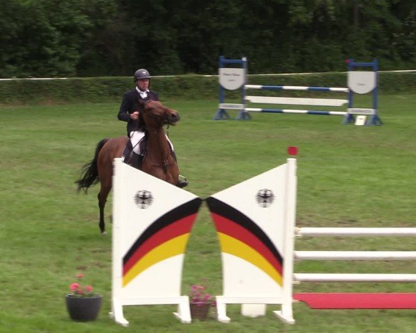 Reitturnier Westeregeln 2024