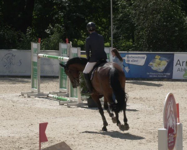 Reitturnier Karlsfeld/Obb. 2024