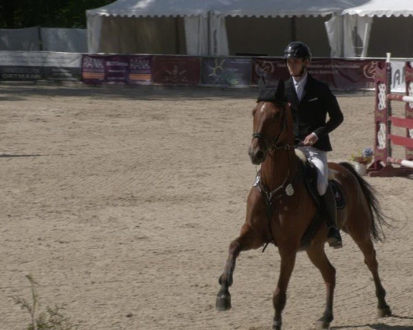 Reitturnier Karlsfeld/Obb. 2024