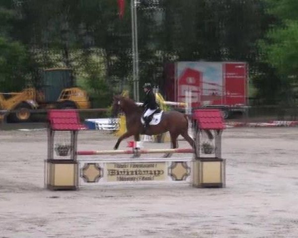 Reit- und Springturnier Münster-Roxel 2012