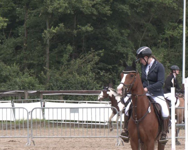 Reitturnier Frechen-Grefrath - Sonnenhof 2024