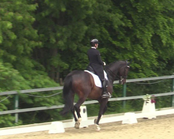 Reitturnier Iserlohn-Kalthof 2024