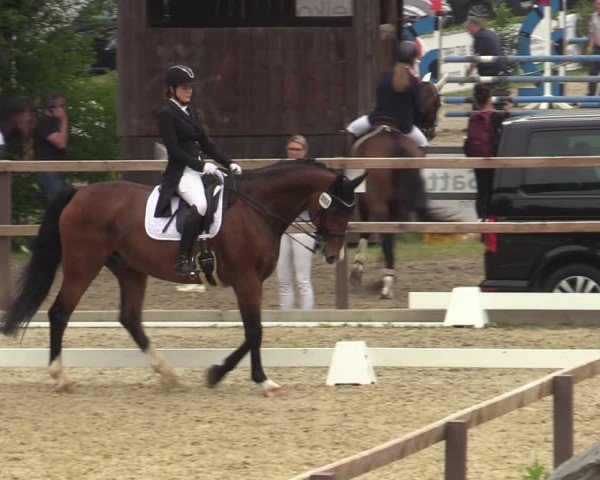 Reitturnier Iserlohn-Kalthof 2024