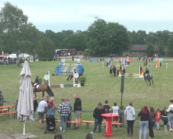 Reitturnier Pennigbüttel 2024