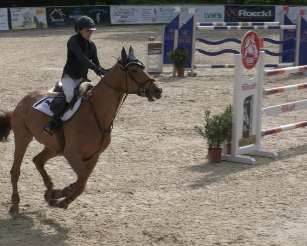 Reitturnier Karlsfeld/Obb. 2024