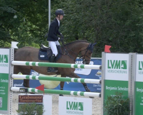 Reitturnier Karlsfeld/Obb. 2024