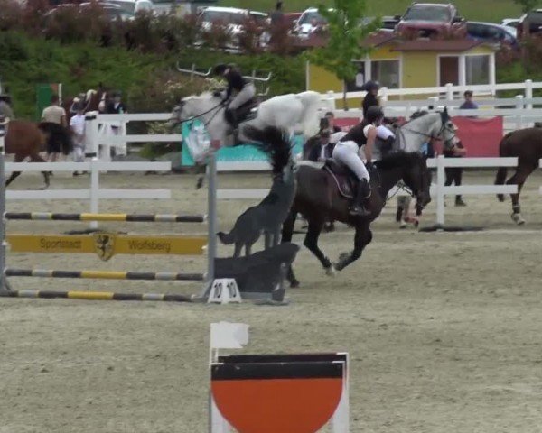 Reitturnier St. Margarethen 2024