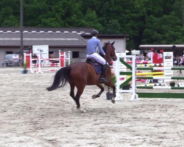 Reitturnier Kropp 2024