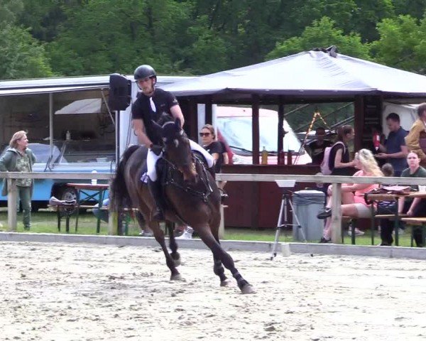 Reitturnier Kropp 2024