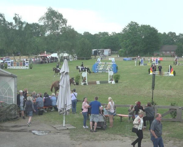 Reitturnier Pennigbüttel 2024