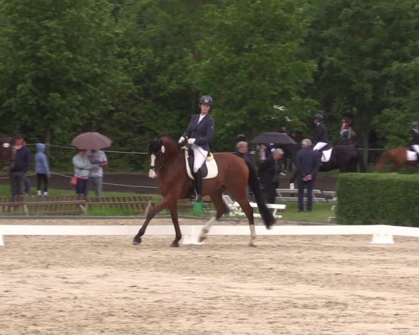 Reitturnier Westeregeln 2024