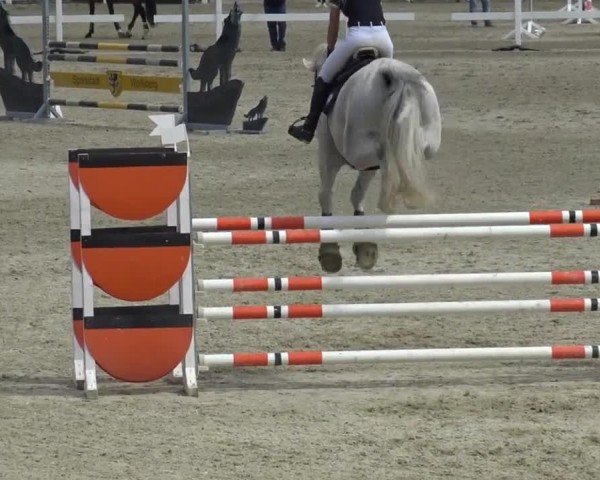 Reitturnier St. Margarethen 2024
