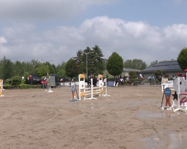 Reitturnier Frechen-Grefrath - Sonnenhof 2024