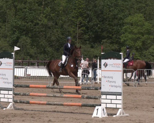 Reitturnier Frechen-Grefrath - Sonnenhof 2024