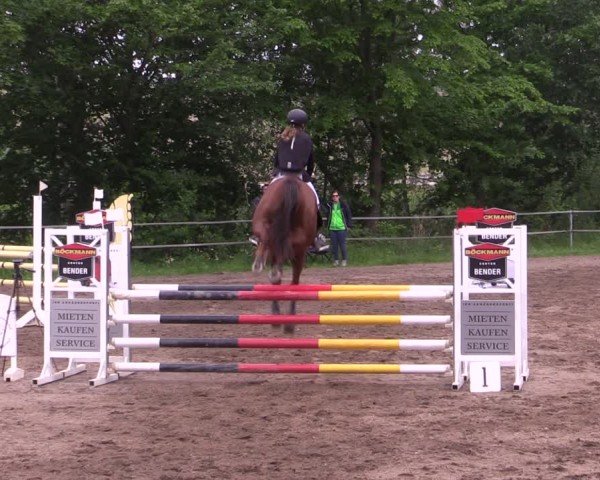 Reitturnier Lgl.-Oberhain, B95 2024