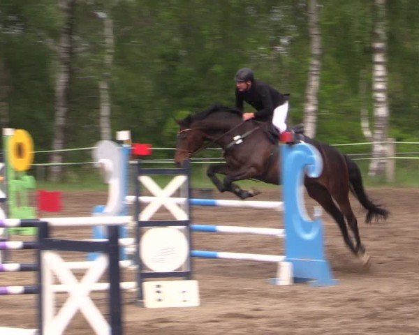 Reitturnier Lgl.-Oberhain, B95 2024