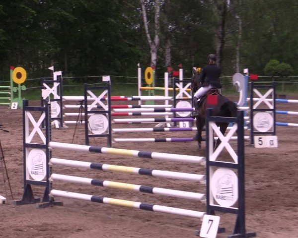 Reitturnier Lgl.-Oberhain, B95 2024
