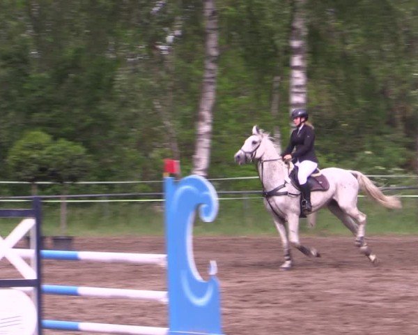 Reitturnier Lgl.-Oberhain, B95 2024