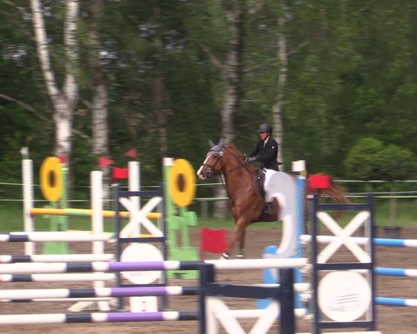 Reitturnier Lgl.-Oberhain, B95 2024