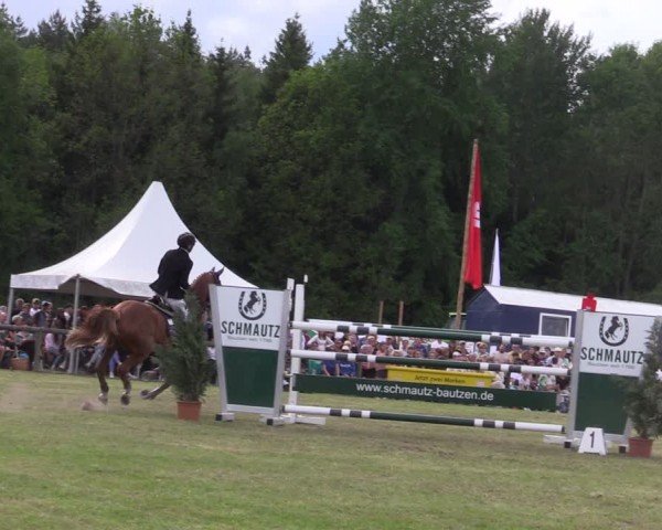 Reitturnier Horka 2024